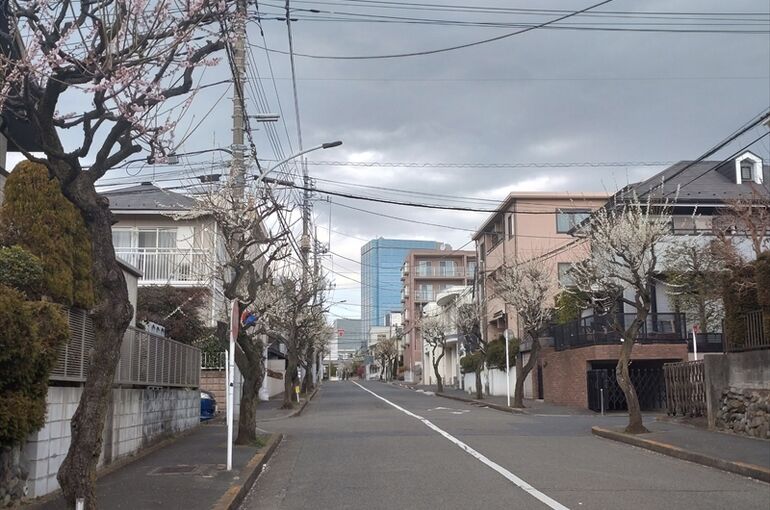 弁慶橋の梅並木